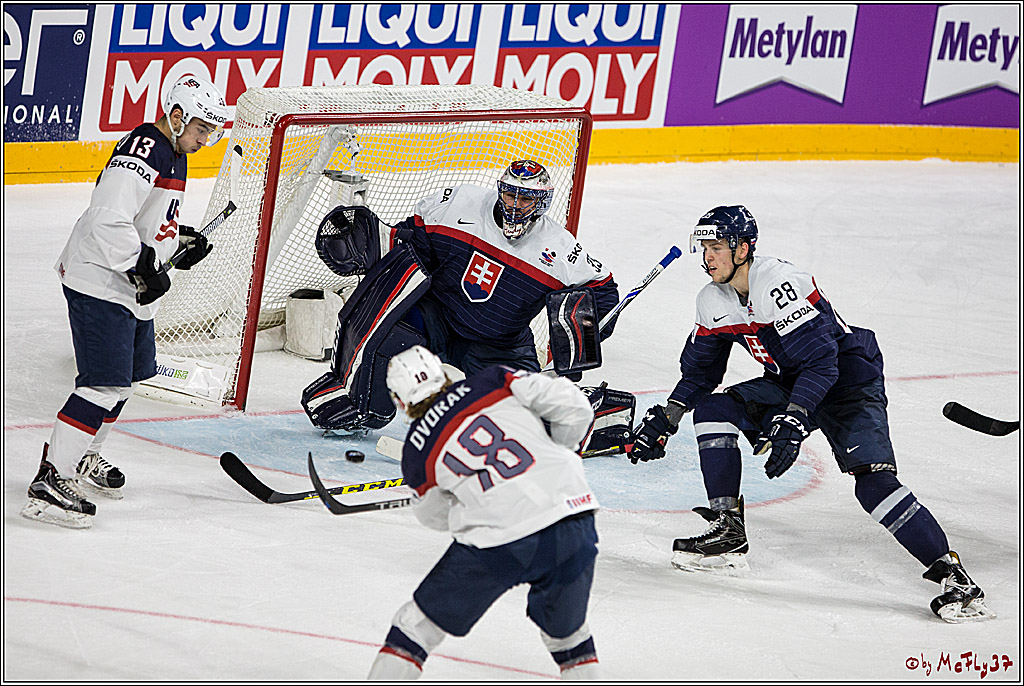 IIHF WM 2017, Slowakei - USA, 14.05.2017